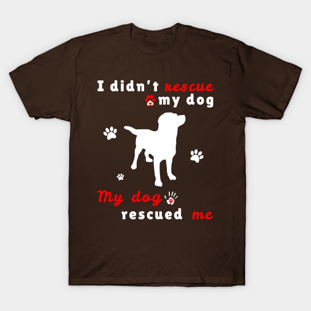 My rescue dog rescued deals me